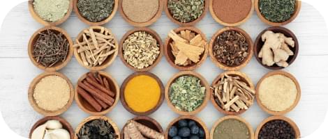 Bioavailable Protein