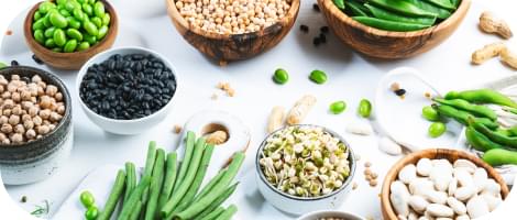 Plant Protein to Support Weight Management.