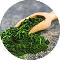 Chlorella.