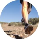Decrease Joint Soreness.