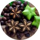 Organic Sacha Inchi Protein.